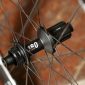 2020-dt-swiss-arc-1100-dicut-50-db-rear-hub